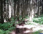 Eifel