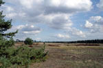 Veluwe