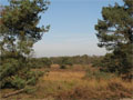 Kempen
