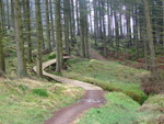 Noordoost Engeland