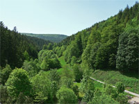 Schwarzwald
