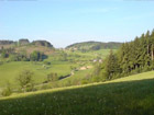 Schwarzwald