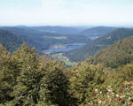 Vogezen