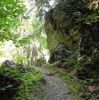 Harz
