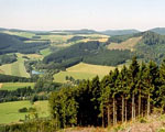 Sauerland